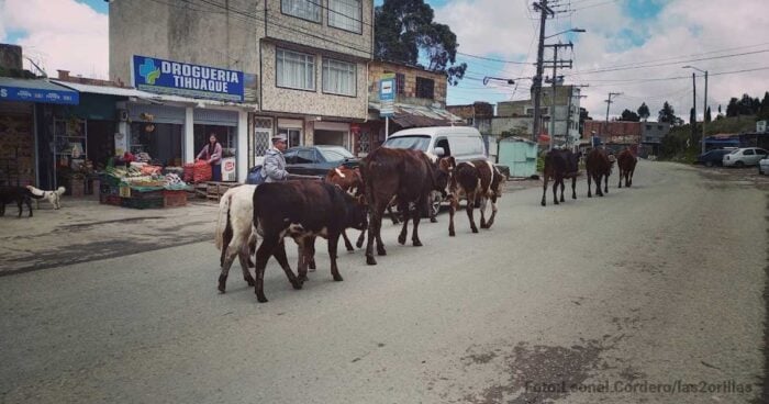 Las tres localidades de Bogotá con la malla vial más deteriorada Bogotá