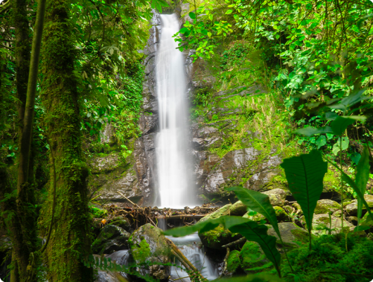 El rincón escondido de Caldas que enamora con cascadas, café y paisajes infinitos El rincón escondido de Caldas que enamora con cascadas, café y paisajes infinitos