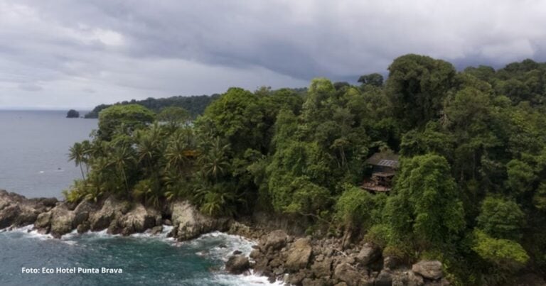 Las2orillas.co: Historias, voces y noticias de Colombia - Las2orillas.co: Historias, voces y noticias de Colombia