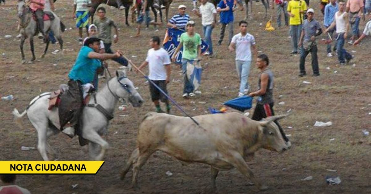  - El día que el toro más temido de El Bagre se volvió una leyenda por sus astutos ataques