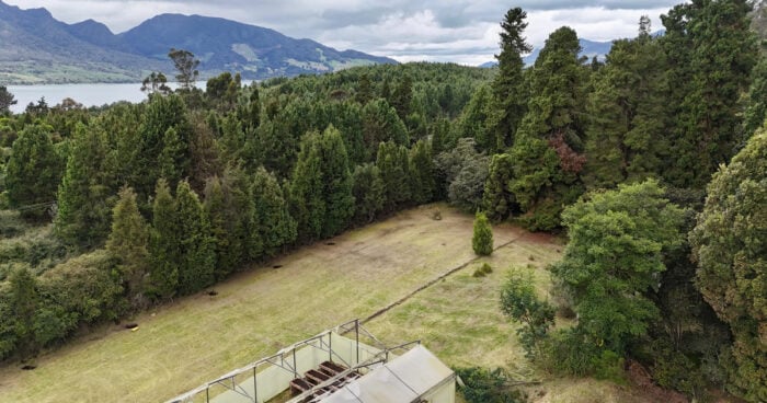  - Cundinamarca tendrá el primer jardín botánico con especies de alta montaña y 21 variedades de frailejón