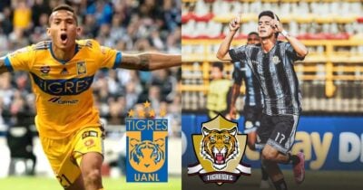 Pelea entre tigres, pero de dos equipos de fútbol