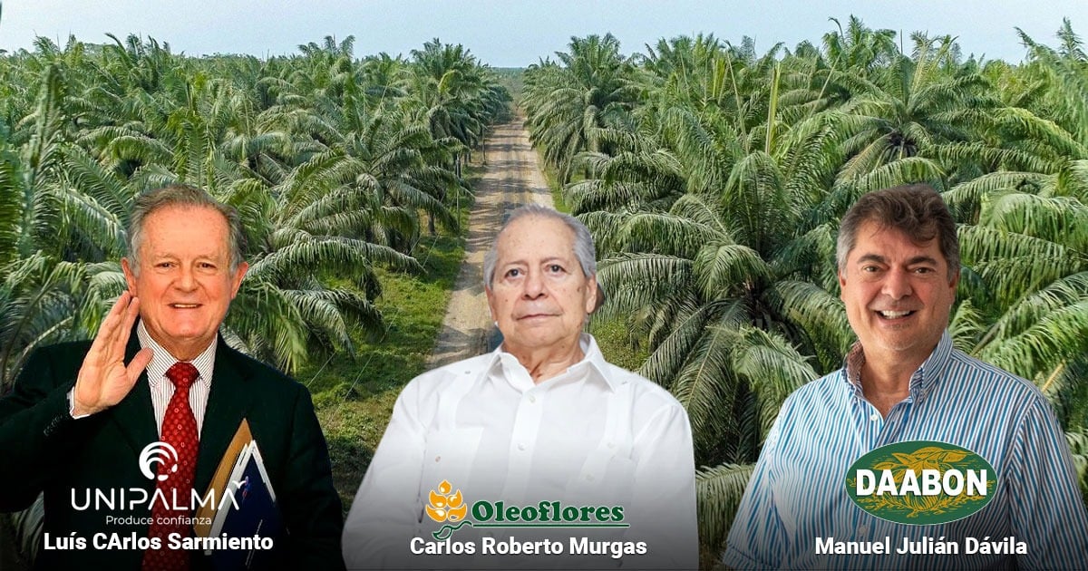  - Colombia continúa expandiendo sus cultivos y producción de aceite de palma con grandes jugadores