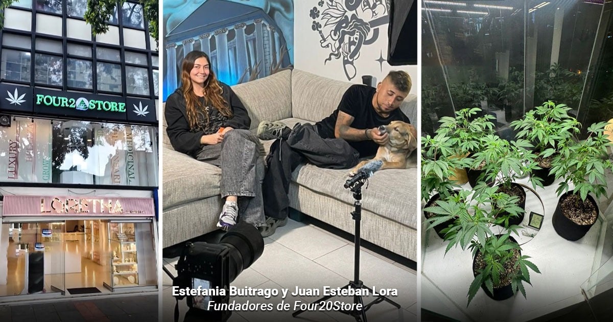  - Así funcionan los clubes cannábicos que están abriendo camino a la marihuana recreativa