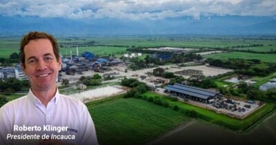 Cómo logró Incauca convertirse en uno de los grandes generadores de energía en Colombia