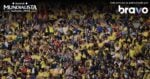 Colombia en la fiesta mundialista - Las2orillas.co: Historias, voces y noticias de Colombia