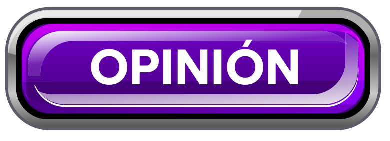 opinion