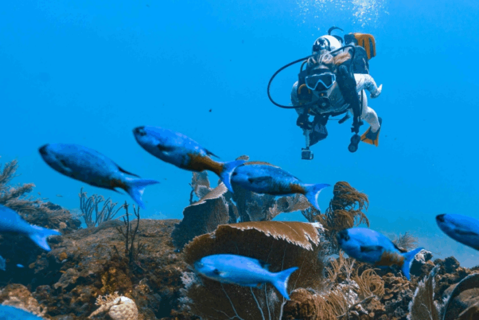 Cómo llegar a la isla colombiana poco conocida con aguas cristalinas y paisajes tropicales - Cómo llegar a la isla colombiana poco conocida con aguas cristalinas y paisajes tropicales