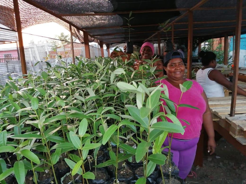  - Las mujeres afro que encontraron su libertad sembrando manglares en una vereda de Bolívar