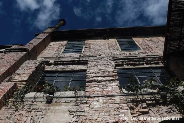 La antigua fábrica de Pastas El Gallo de donde salieron los primeros espaguetis a la venta en Bogotá sigue en pie Old brick building facade with metal-framed windows and climbing vines along the wall under a blue sky. - La antigua fábrica de Pastas El Gallo de donde salieron los primeros espaguetis a la venta en Bogotá sigue en pie