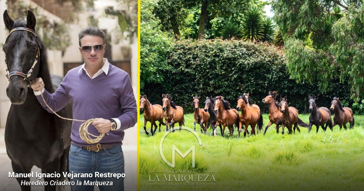  - La familia del Cauca que lleva más de un siglo persiguiendo el caballo perfecto con su Criadero La Marqueza