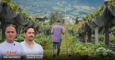 Las2orillas.co: Historias, voces y noticias de Colombia Two men stand at a strawberry farm with plastic-covered rows; a farmer walks between the beds toward distant hills; Frutinal logo visible. - Las2orillas.co: Historias, voces y noticias de Colombia