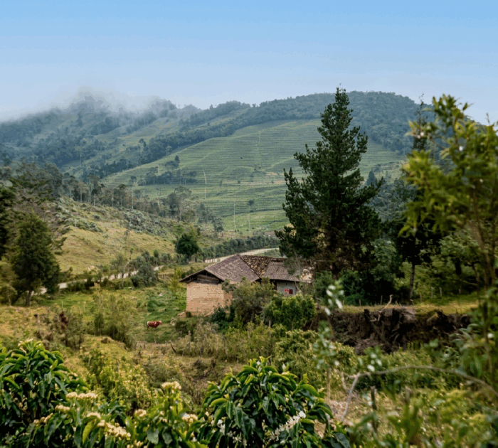De Maripí para el mundo: esmaltes Masglo, Philaac y Cerescos, cien años del industrial boyacense - De Maripí para el mundo: esmaltes Masglo, Philaac y Cerescos, cien años del industrial boyacense
