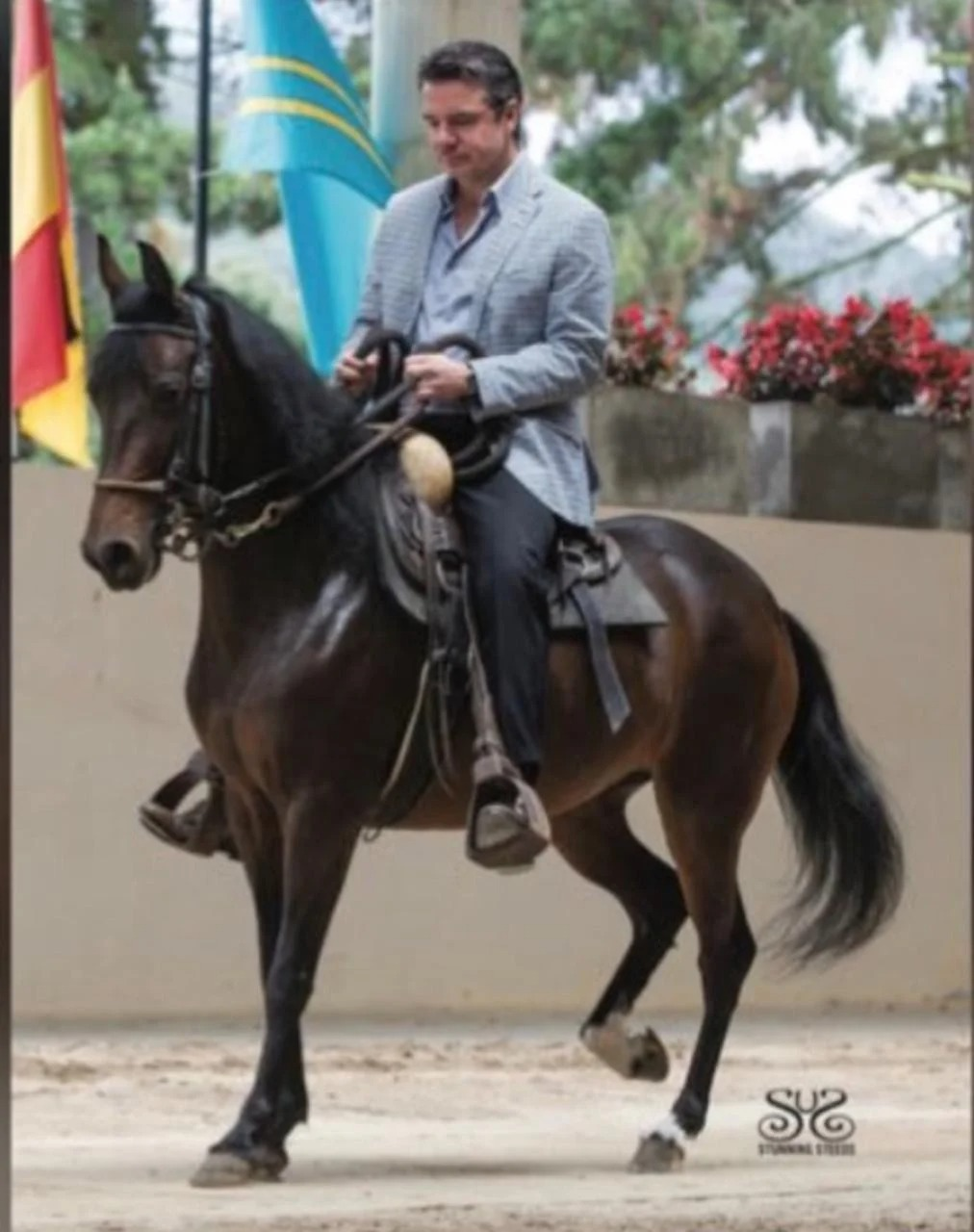La familia del Cauca que lleva más de un siglo persiguiendo el caballo perfecto con su Criadero La Marqueza - La familia del Cauca que lleva más de un siglo persiguiendo el caballo perfecto con su Criadero La Marqueza