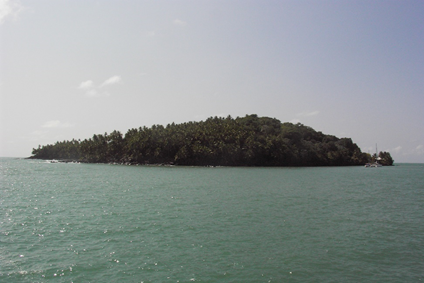 Pequeña isla cubierta de árboles en agua turquesa calma, con una costa rocosa en el horizonte.