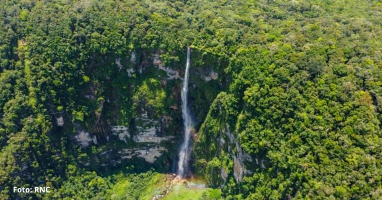 Las2orillas.co: Historias, voces y noticias de Colombia - Las2orillas.co: Historias, voces y noticias de Colombia