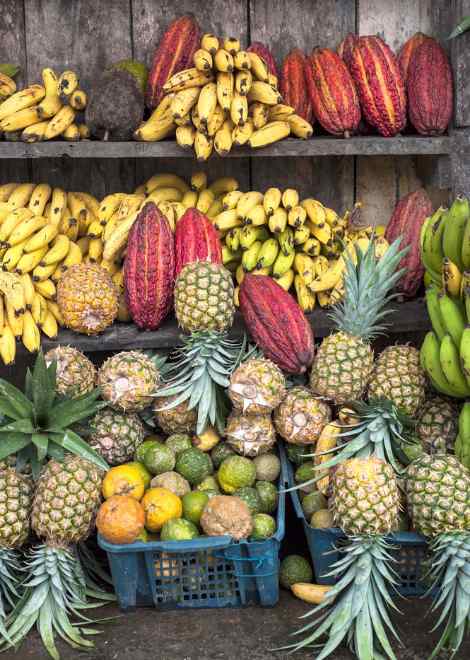  - Así fue como dos británicos convirtieron la comida tradicional de Bogotá en un exitoso tour gastronómico