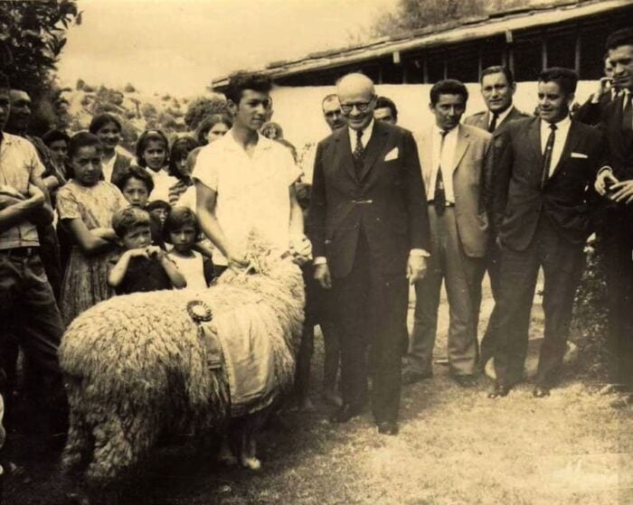 Ovejas Fizebad