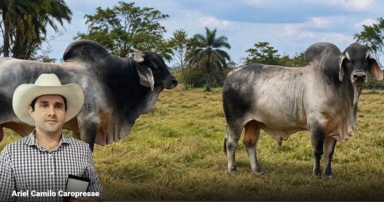 Las2orillas.co: Historias, voces y noticias de Colombia - Las2orillas.co: Historias, voces y noticias de Colombia