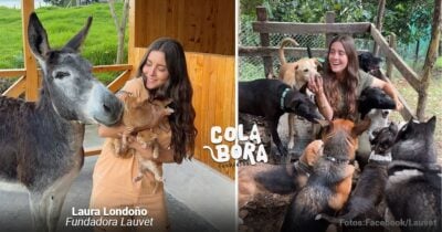 Una veterinaria paisa enseña sobre mascotas en redes y cuida todo tipo de animales en su santuario oculto