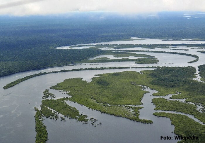 La empresaria indígena que encarna la nueva apuesta de la banca y del gobierno entrante por la Amazonía - La empresaria indígena que encarna la nueva apuesta de la banca y del gobierno entrante por la Amazonía