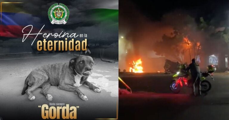 Las2orillas.co: Historias, voces y noticias de Colombia - Las2orillas.co: Historias, voces y noticias de Colombia