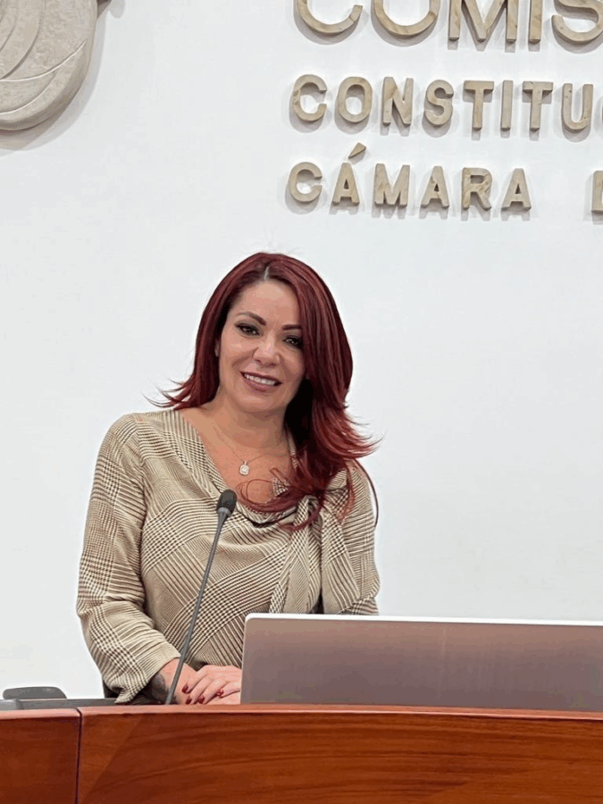 Por qué el abogado de Petro se reunió con la congresista que investigaba a su jefe, el Presidente - Por qué el abogado de Petro se reunió con la congresista que investigaba a su jefe, el Presidente
