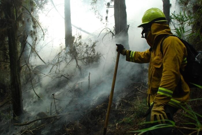 El duro de los Bomberos de Bogotá que arrancó rumbo al Tolima para enfrentar los incendios forestales - El duro de los Bomberos de Bogotá que arrancó rumbo al Tolima para enfrentar los incendios forestales