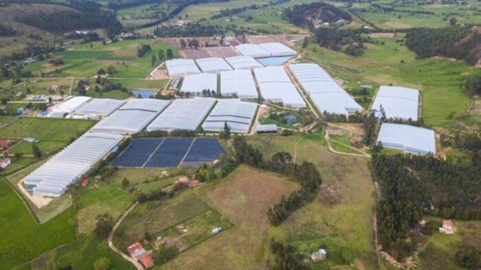 Tres empresas de Boyacá y Cundinamarca son las que dominan las exportaciones de marihuana en el país Aerial view of a farm with numerous white greenhouse covers spread across a valley. - Tres empresas de Boyacá y Cundinamarca son las que dominan las exportaciones de marihuana en el país