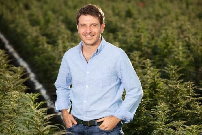 Tres empresas de Boyacá y Cundinamarca son las que dominan las exportaciones de marihuana en el país Man in a light blue button-down shirt stands in a sunlit field of plants, smiling at the camera with hands in pockets. - Tres empresas de Boyacá y Cundinamarca son las que dominan las exportaciones de marihuana en el país