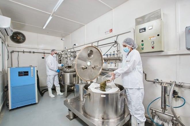 Tres empresas de Boyacá y Cundinamarca son las que dominan las exportaciones de marihuana en el país Two technicians in white cleanroom suits and masks operate a large stainless steel reactor in a sterile manufacturing facility; one adds material as the other monitors the equipment. - Tres empresas de Boyacá y Cundinamarca son las que dominan las exportaciones de marihuana en el país