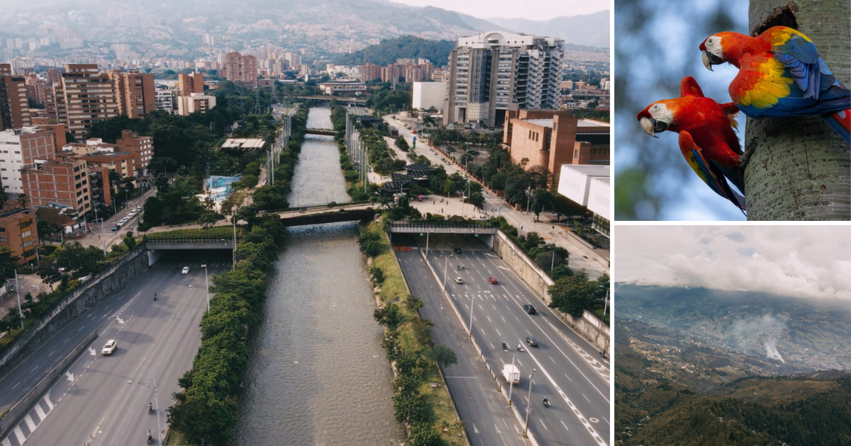 Evento sobre el cambio climático en Medellín - El evento que traerá a Medellín a representantes de ocho países para hablar del futuro del planeta