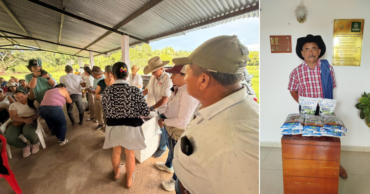 Fedegán entregó leche y carne a víctimas de desastres naturales en Colombia - Gigantes ganaderos se pusieron la '10' para donar más de 805 mil vasos de leche y 9 toneladas de carne a damnificados