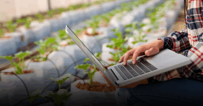 La fórmula que busca poner a las pequeñas y medianas empresas en el centro de la innovación empresarial en Colombia
