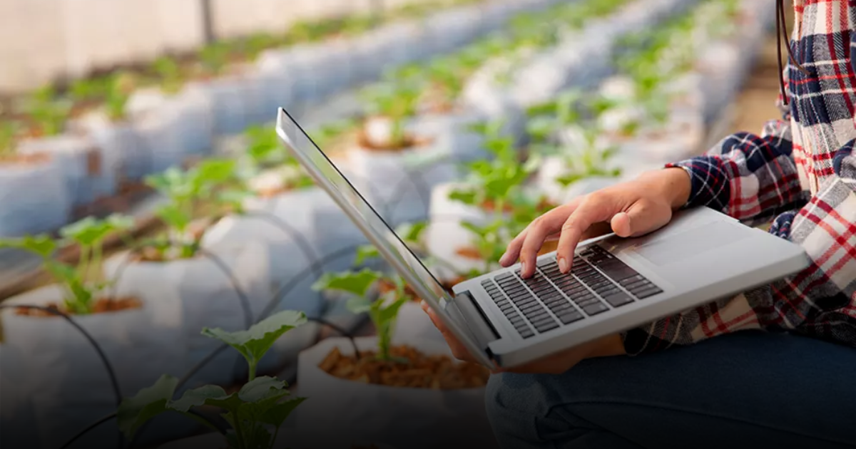 PYMES en Colombia - La fórmula que busca poner a las pequeñas y medianas empresas en el centro de la innovación empresarial en Colombia