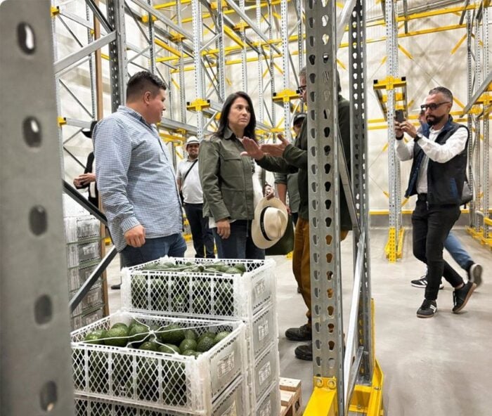 La multinacional sudafricana que convirtió al aguacate colombiano en un negocio global