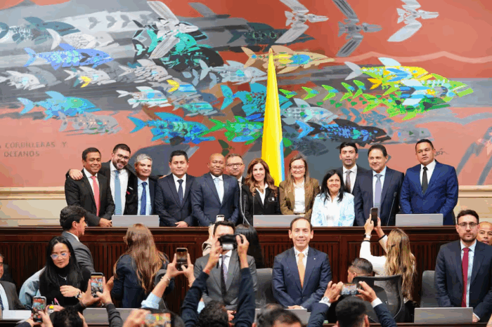 Varios quemados en la aspiración al congreso terminaron elegidos magistrados del Consejo Nacional Electoral - Varios quemados en la aspiración al congreso terminaron elegidos magistrados del Consejo Nacional Electoral