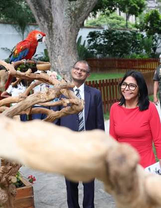 Red macaw perched on a branch as a man in a suit and a woman in a red dress smile at the bird outdoors. - El plan del millonario indio que quería los 80 hipopótamos de Escobar, con los animales silvestres de Venezuela
