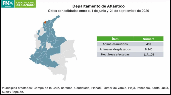 Las cifras que tienen enfrentados al Gobierno con Asoganorte por las reses muertas en Atlántico durante El Niño Las cifras que tienen enfrentados al Gobierno con Asoganorte por las reses muertas en Atlántico durante El Niño