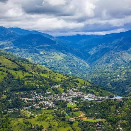  - Tres pueblos colombianos están detrás de los cafés con los que Juan Valdez brilló en un premio internacional