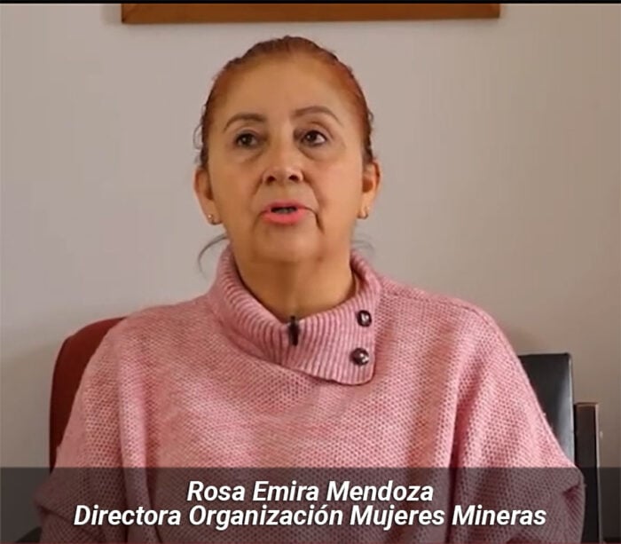 La santandereana detrás de la tutela que tumbó el decreto con el que Petro quiso detener la minería en Santurbán Rosa Emira Mendoza, Director of Organización Mujeres Mineras, speaking in a pink sweater. - La santandereana detrás de la tutela que tumbó el decreto con el que Petro quiso detener la minería en Santurbán