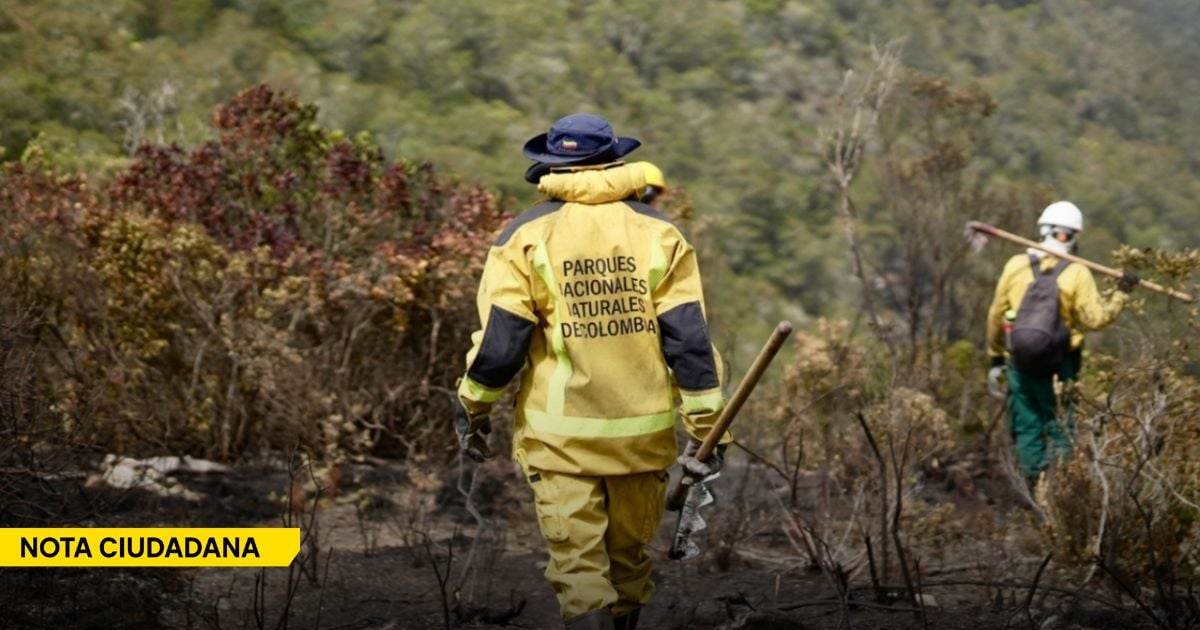  - El secreto ancestral con el que una emberá salvó un bosque mientras el fuego devoraba 1.400 hectáreas en Villa de Leyva