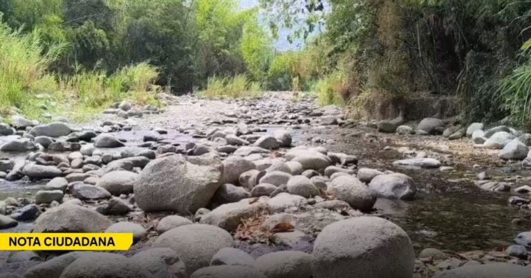 Rocky riverbed with smooth stones and shallow water, lined by green vegetation; a yellow 'NOTA CIUDADANA' banner in the corner. - En Miranda, Cauca, dicen que el agua es segura, mientras los jóvenes libran una batalla por salvar el río Desbaratado