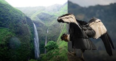 Este es el paraíso del Cauca donde vuela el cóndor de los Andes y nace el río Magdalena