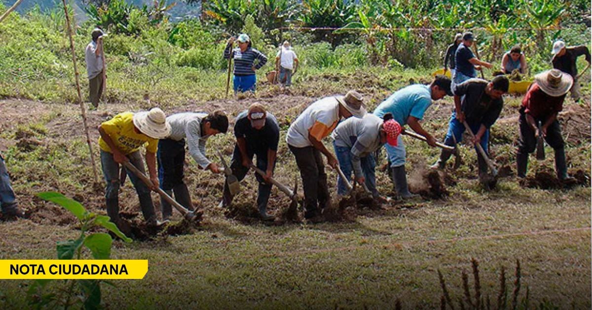 - Las minas antipersona les enseñaron a los campesinos del Catatumbo a temerle a cada paso que dan en su propia tierra