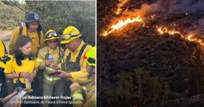 Quién es la mujer que liderará la recuperación del Parque Iguaque tras el incendio que le acabó 1.083 hectáreas