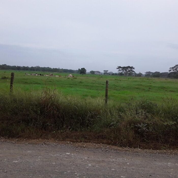 Los líos de Erasmo Zuleta con sus tierras que están sobre una ciénaga protegida que Petro puso bajo la lupa - Los líos de Erasmo Zuleta con sus tierras que están sobre una ciénaga protegida que Petro puso bajo la lupa