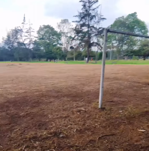 El fracaso de Sencia, la empresa con la que Sarmiento y sus socios dejaron a los bogotanos sin fútbol - El fracaso de Sencia, la empresa con la que Sarmiento y sus socios dejaron a los bogotanos sin fútbol