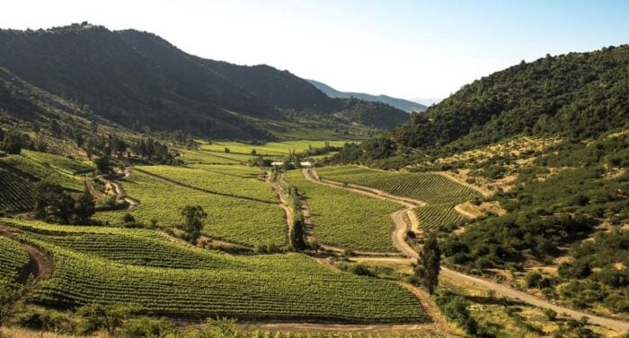 Quiénes están detrás de los buenos y económicos vinos que se venden los Santo Domingo en sus D1 - Quiénes están detrás de los buenos y económicos vinos que se venden los Santo Domingo en sus D1