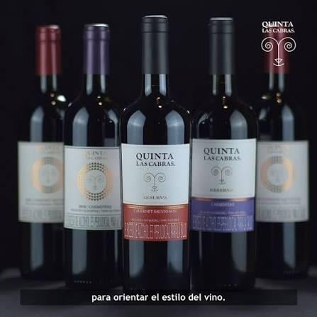 Quiénes están detrás de los buenos y económicos vinos que se venden los Santo Domingo en sus D1 - Quiénes están detrás de los buenos y económicos vinos que se venden los Santo Domingo en sus D1